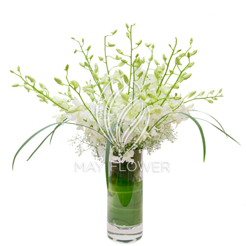 Orchid Overflow Main image