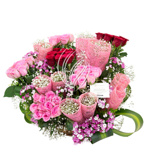 Coral Blush Main image