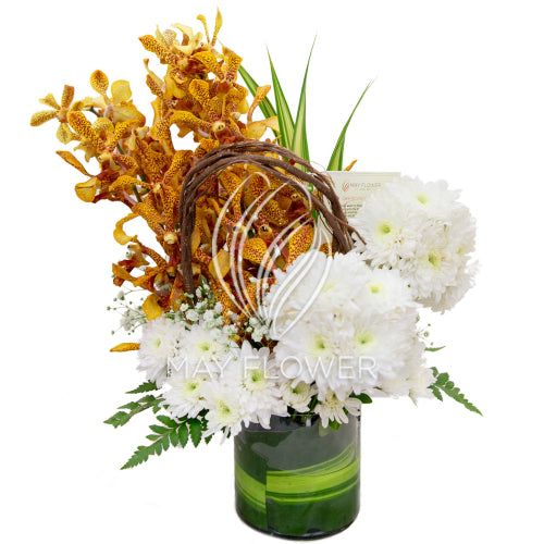 Delicate Charms Main image