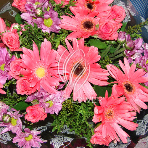 Pink Hand Bunch Main image