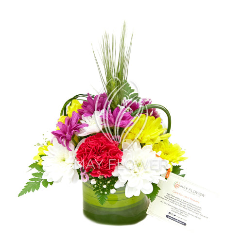 Petite Jardin Main image