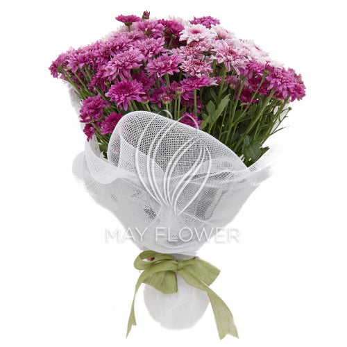 Chrysanthemum Carnival Main image