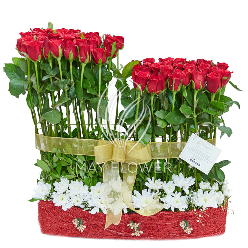 Regal Rose Amour Main image