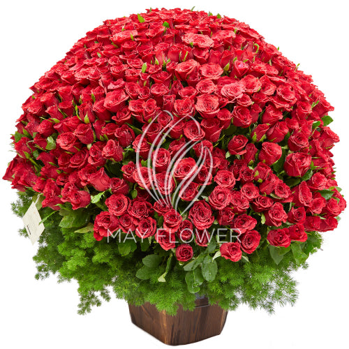 1000 Red Roses Main image