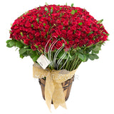300 Red Roses