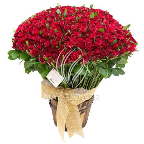 300 Red Roses Bouquet – May Flower