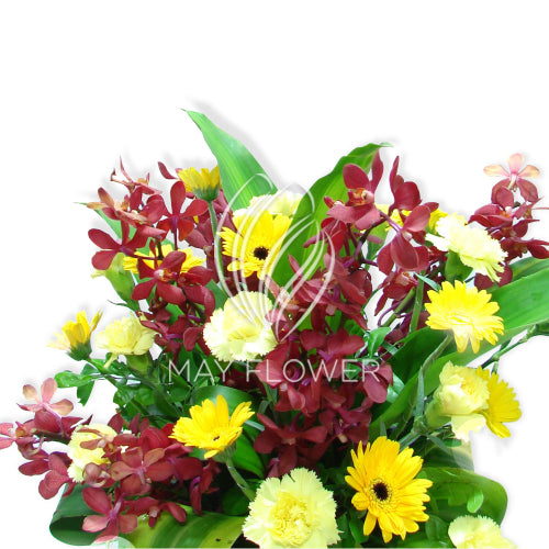 Assorted Basket Bright