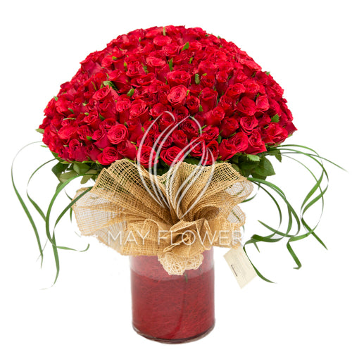 300 Red Roses Vase – May Flower
