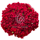 300 Red Roses Bunch