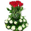 Roses and Carnations