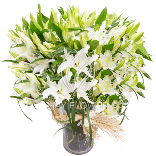 Monumental Lilies Main image