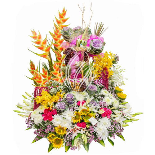 Sparkling Acropolis Main image