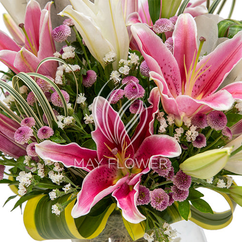 Lily Kugel Secondary image