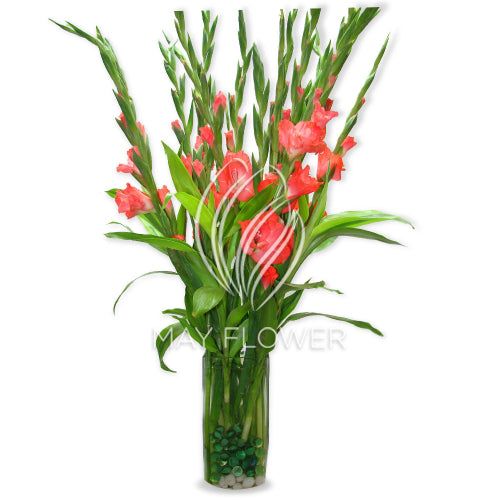 Gladioli Bunch Secondary image