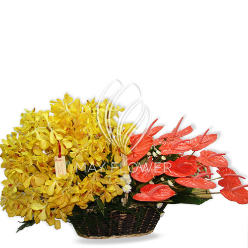 Orchid Anthurium Blast Secondary image