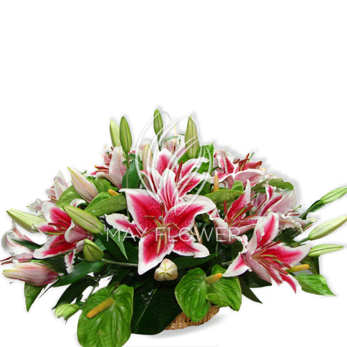 Liliums!! Main image