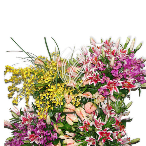 Exotic Garden! Main image