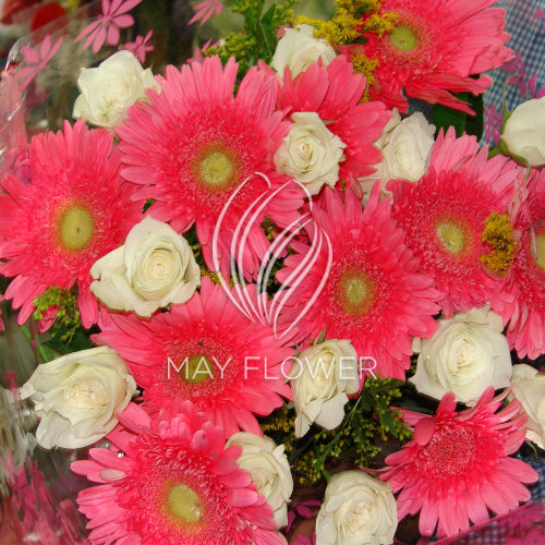 Gerbera Rose Hand Bunch Main image