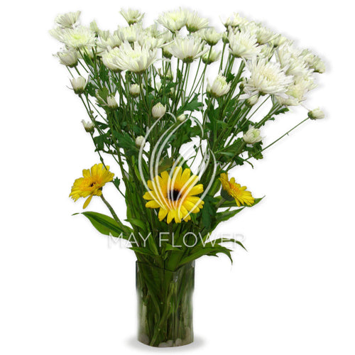 Pastel Daisy Vase