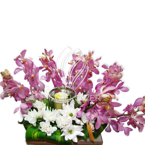 Orchids and Chrysanthemum Main image