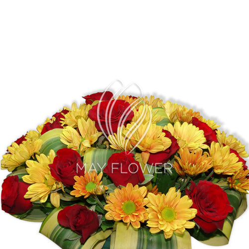 Red Rose Sunshine Main image