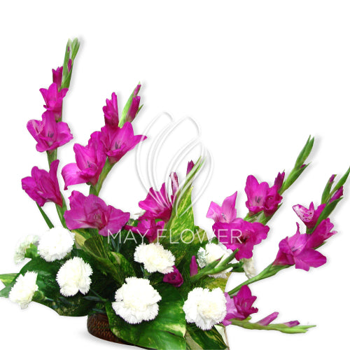 Gladioli Carnations