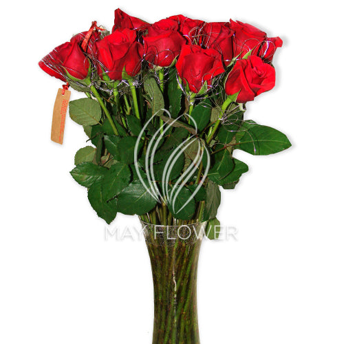 Red Roses In a Vase