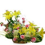 Fluorescent Basket