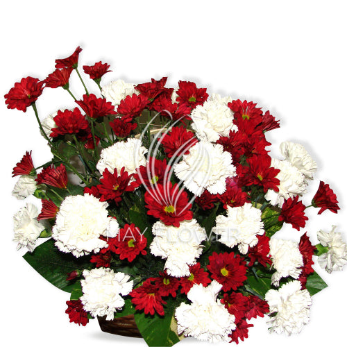 Carnations Chrysanthemums.
