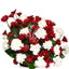 Carnations Chrysanthemums.