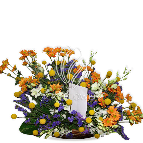 Colorful Basket Main image